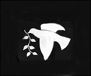 gallery-2.gif