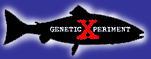 geneticxfish.gif